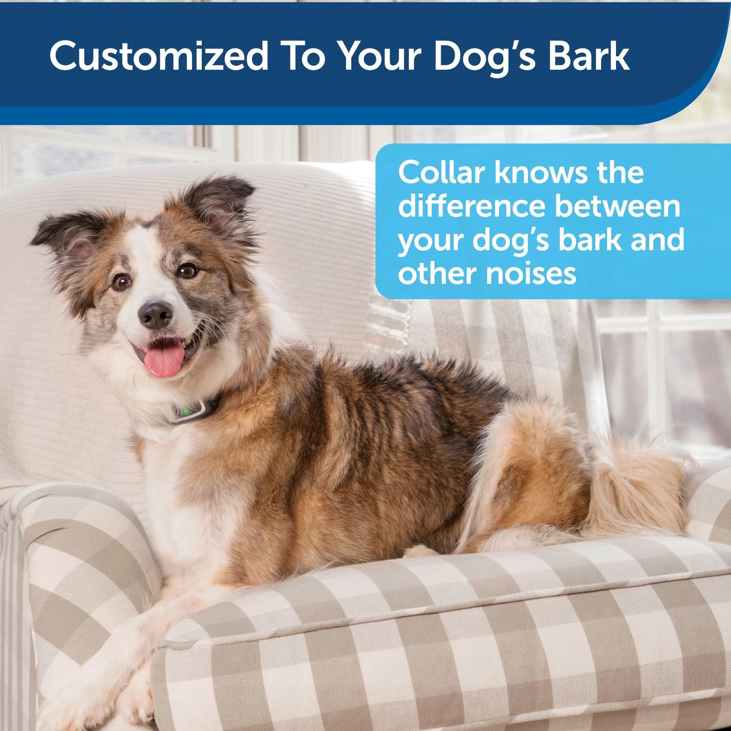 PetSafe - PBC00-16368 - Spray Bark Collar - Rechargeable Battery - No Bark Collar 2 PetSafe - PBC00-16368 - Spray Bark Collar - Rechargeable Battery - No Bark Collar - Image 2