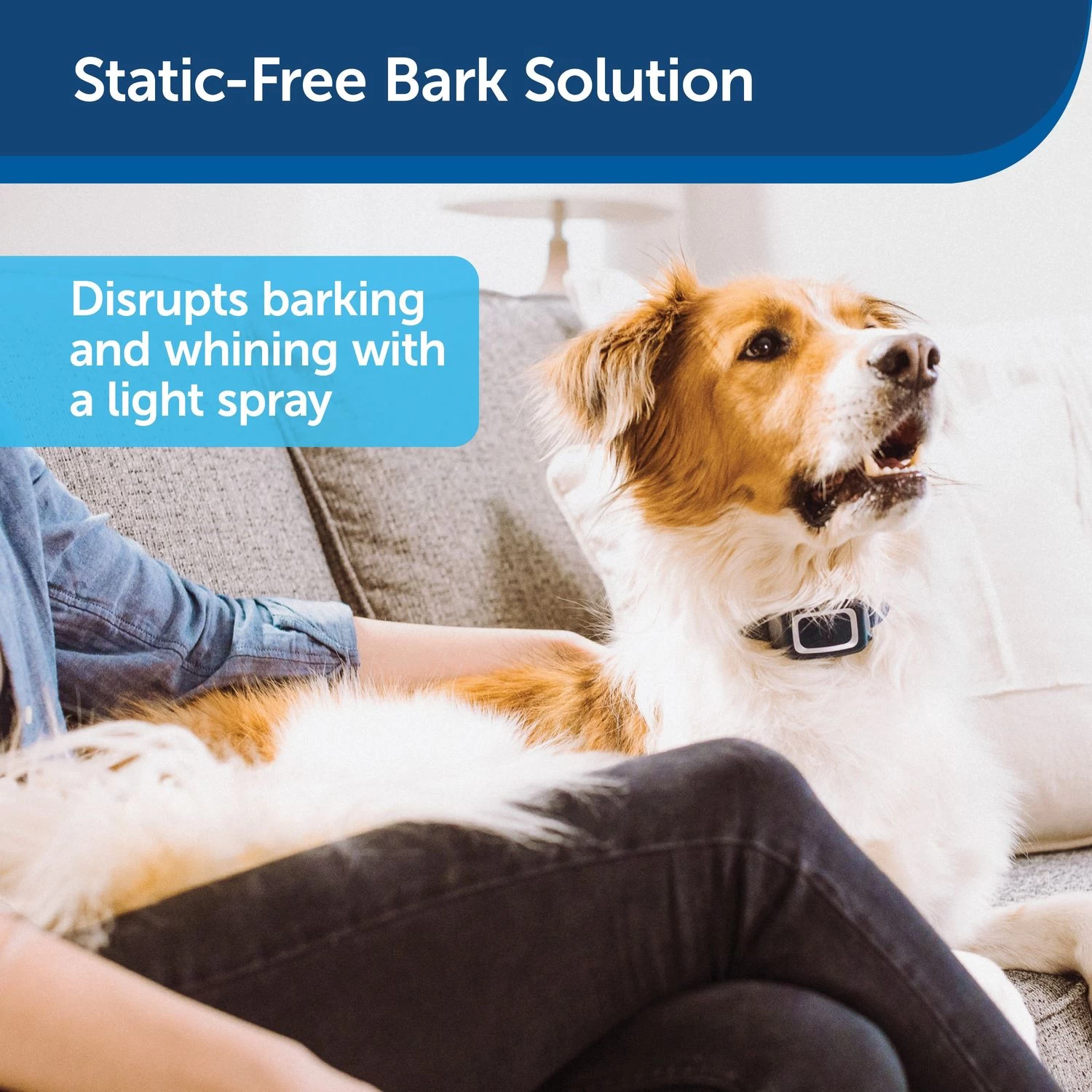 PetSafe - PBC00-16368 - Spray Bark Collar - Rechargeable Battery - No Bark Collar 4 PetSafe - PBC00-16368 - Spray Bark Collar - Rechargeable Battery - No Bark Collar - Image 4