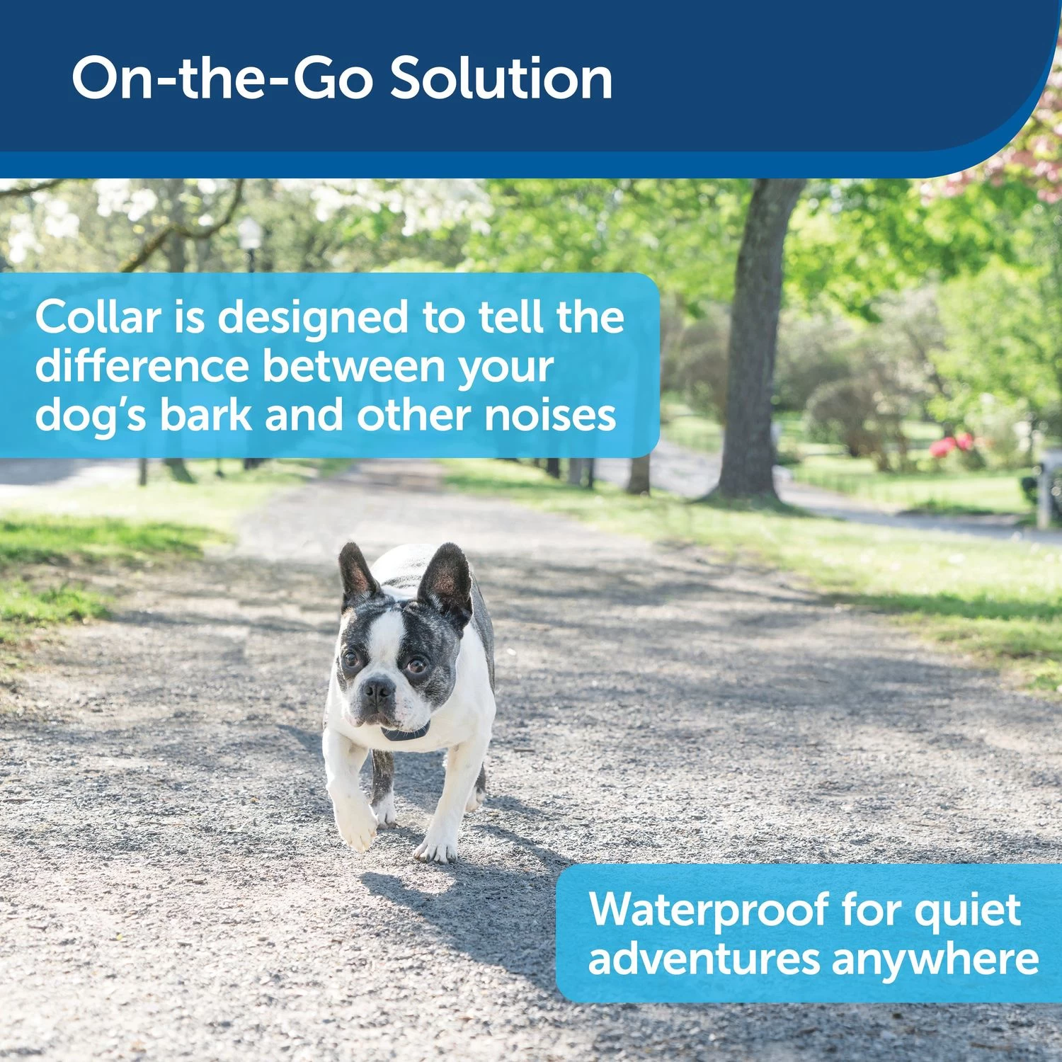 PetSafe - PBC00-16446 - Lite Rechargeable Bark Collar - Rechargeable Battery - No Bark Collar 4 PetSafe - PBC00-16446 - Lite Rechargeable Bark Collar - Rechargeable Battery - No Bark Collar - Image 4