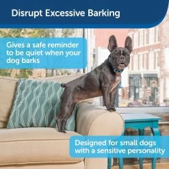 PetSafe - PBC00-16446 - Lite Rechargeable Bark Collar - Rechargeable Battery - No Bark Collar 11 PetSafe - PBC00-16446 - Lite Rechargeable Bark Collar - Rechargeable Battery - No Bark Collar -PetSafe Store petsafe pbc00 16446 lite rechargeable bark collar for excessive barking