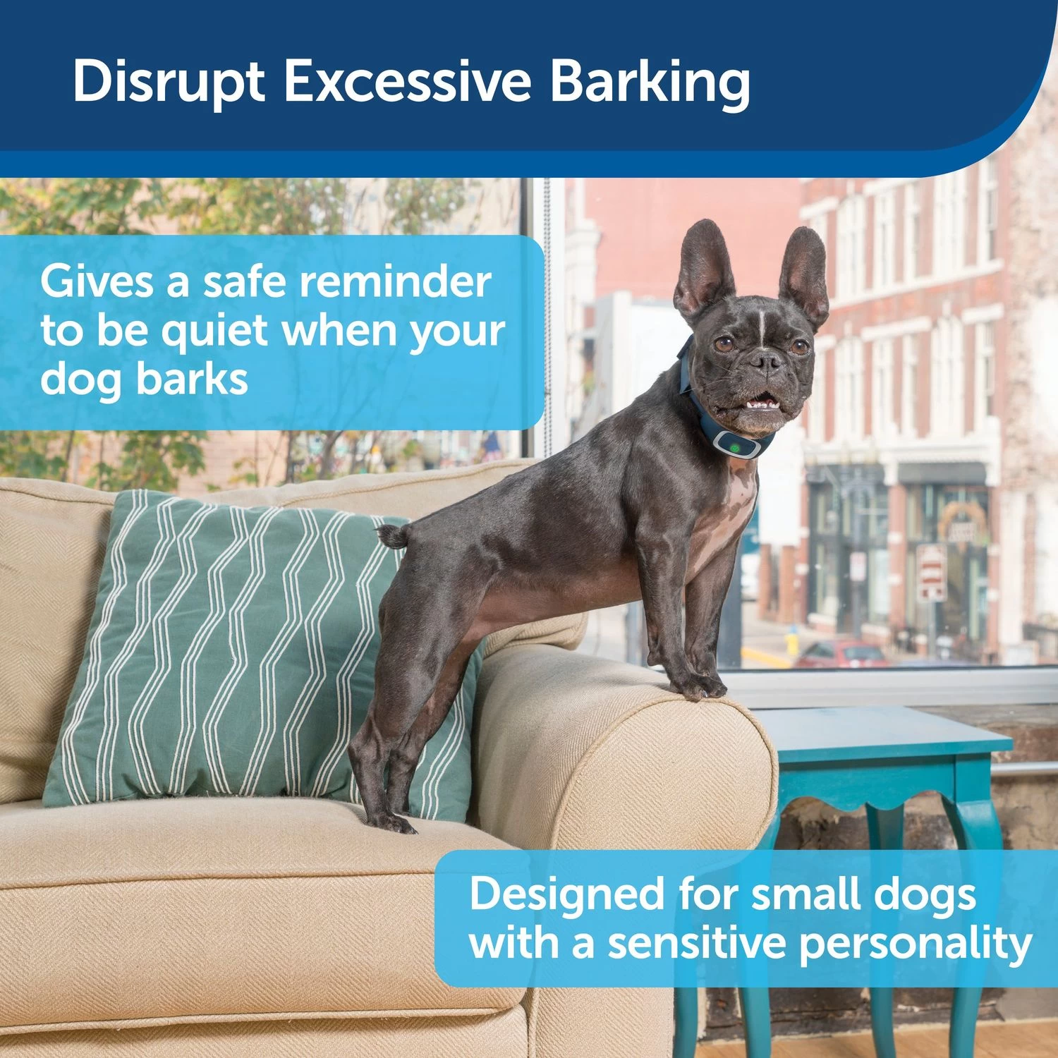 PetSafe - PBC00-16446 - Lite Rechargeable Bark Collar - Rechargeable Battery - No Bark Collar 3 PetSafe - PBC00-16446 - Lite Rechargeable Bark Collar - Rechargeable Battery - No Bark Collar - Image 3