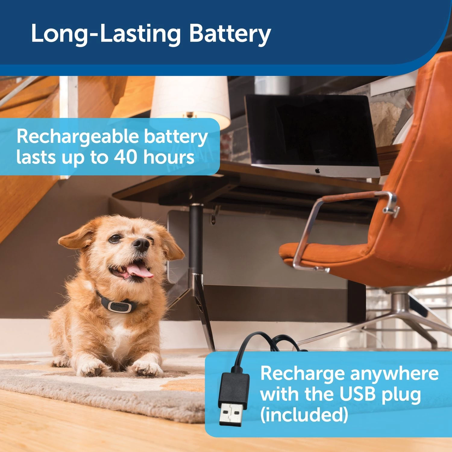 PetSafe - PBC00-16446 - Lite Rechargeable Bark Collar - Rechargeable Battery - No Bark Collar 7 PetSafe - PBC00-16446 - Lite Rechargeable Bark Collar - Rechargeable Battery - No Bark Collar - Image 7