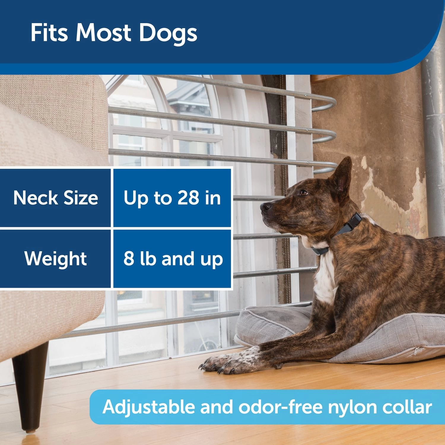 PetSafe - PBC00-16634 - Bark Collar - PetSafe RFA-18-11 Replaceable Battery - No Bark Collar 7 PetSafe - PBC00-16634 - Bark Collar - PetSafe RFA-18-11 Replaceable Battery - No Bark Collar - Image 7