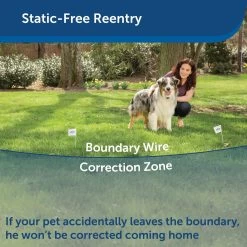 PetSafe - PIG00-11115 - YardMax Rechargeable In-Ground Fence - In-Ground Fence 14 PetSafe - PIG00-11115 - YardMax Rechargeable In-Ground Fence - In-Ground Fence -PetSafe Store petsafe pig00 11115 yardmax rechargeable in ground fence static free reentry