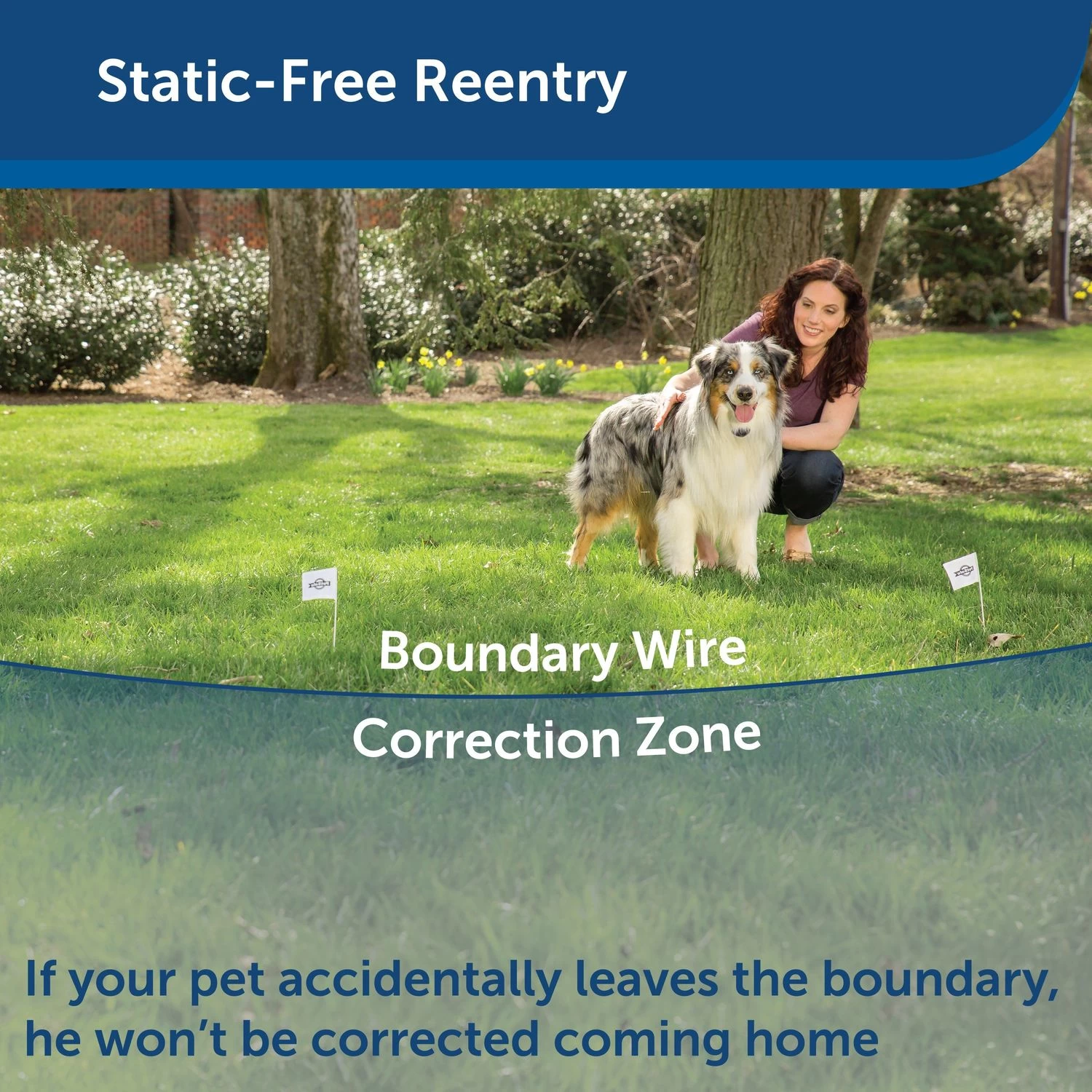 PetSafe - PIG00-11115 - YardMax Rechargeable In-Ground Fence - In-Ground Fence 6 PetSafe - PIG00-11115 - YardMax Rechargeable In-Ground Fence - In-Ground Fence - Image 6