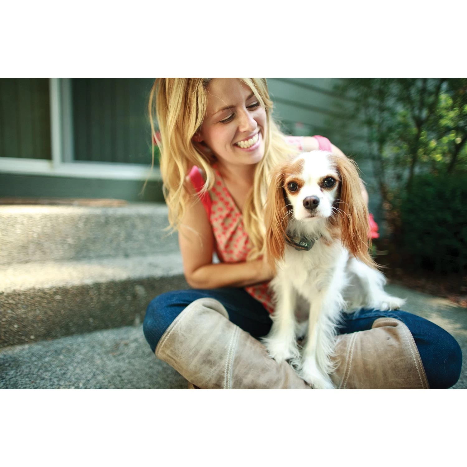 PetSafe - PIG20-11041 - Elite Little Dog In-Ground Fence - In-Ground Fence 7 PetSafe - PIG20-11041 - Elite Little Dog In-Ground Fence - In-Ground Fence - Image 7