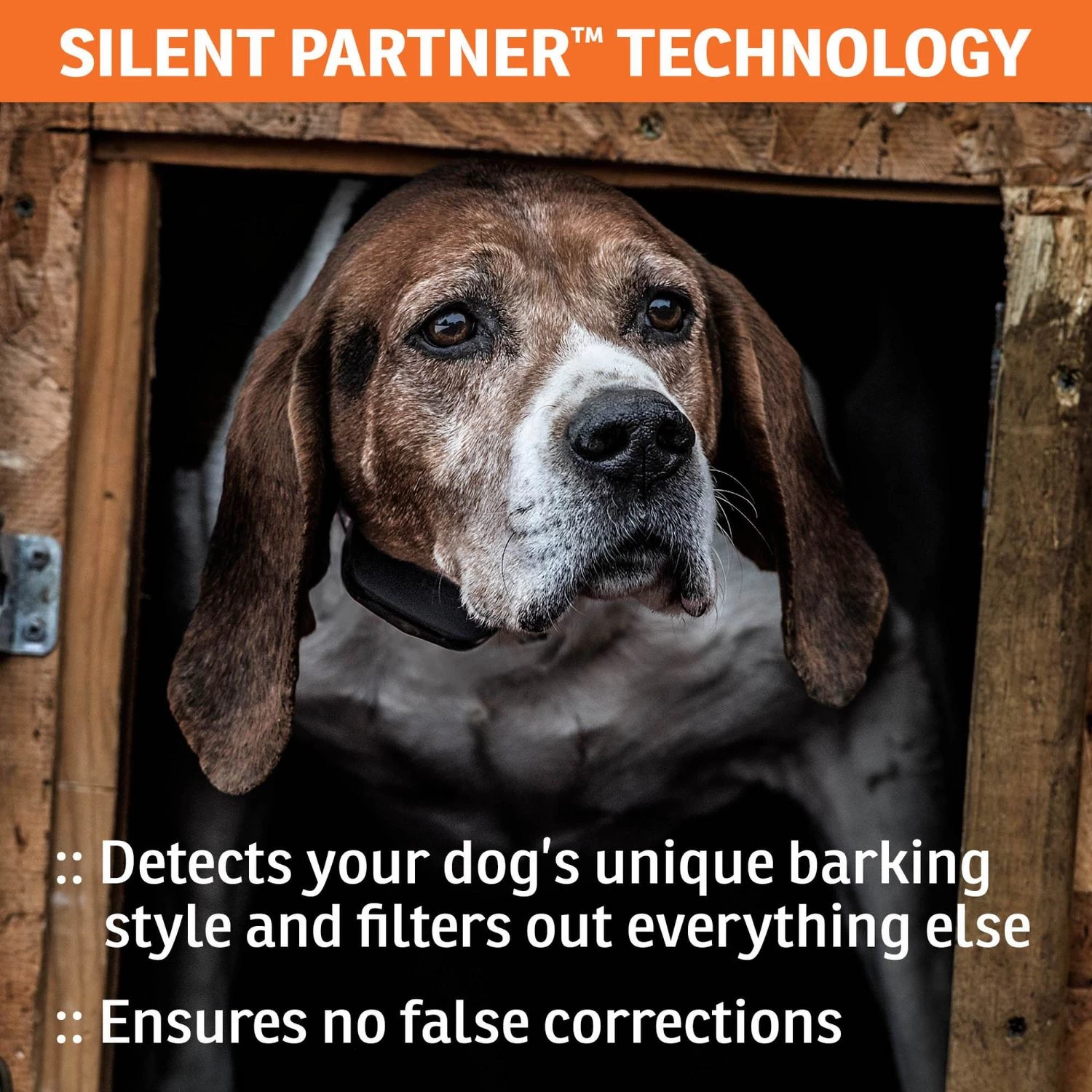 SportDOG - SBC-R - NoBark SBC-R - Rechargeable Battery - No Bark Collar 5 SportDOG - SBC-R - NoBark SBC-R - Rechargeable Battery - No Bark Collar - Image 5