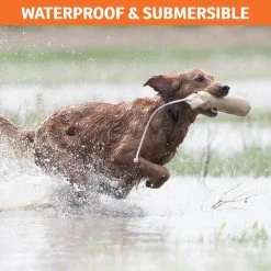 SportDOG - SBC-R - NoBark SBC-R - Rechargeable Battery - No Bark Collar 11 SportDOG - SBC-R - NoBark SBC-R - Rechargeable Battery - No Bark Collar -PetSafe Store sportdog sbc r no bark remote training collar waterproof and submersible