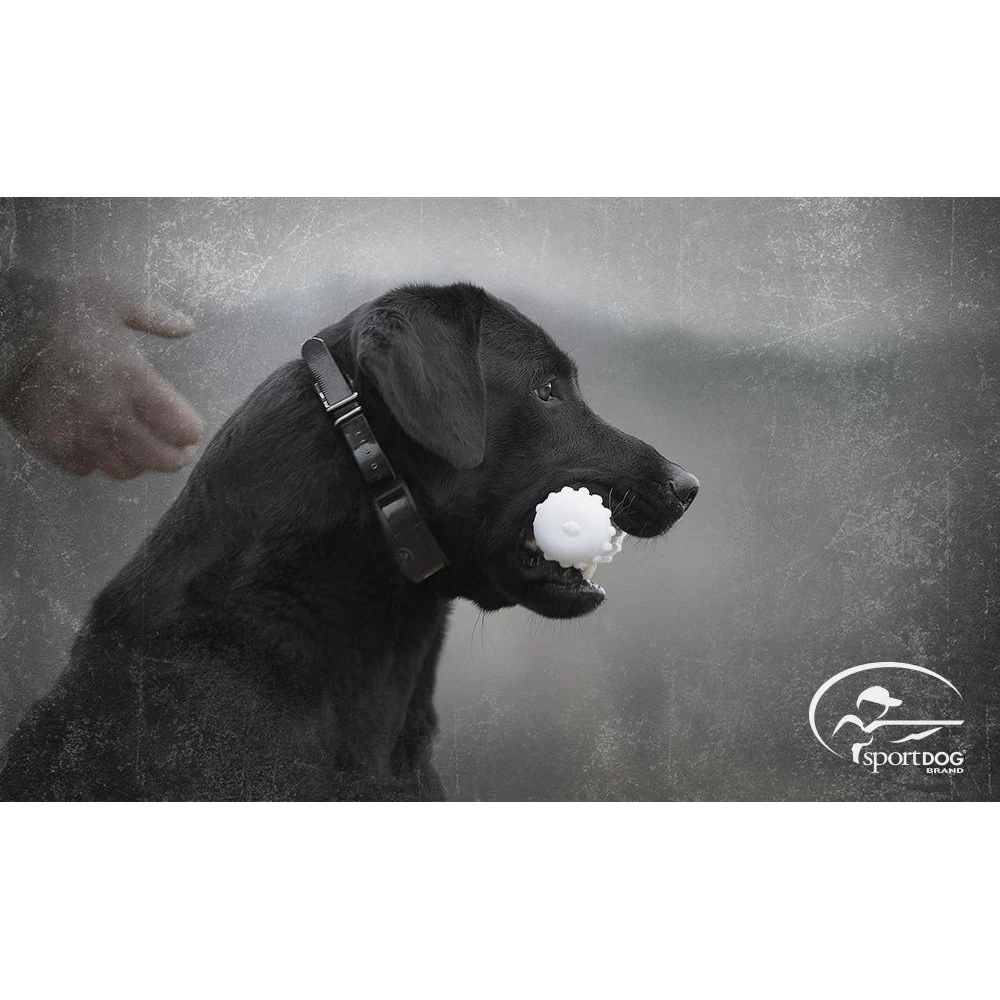 SportDOG - SD-2525 - ProHunter 2525 - 2 Miles - Remote Training Collar 4 SportDOG - SD-2525 - ProHunter 2525 - 2 Miles - Remote Training Collar - Image 4
