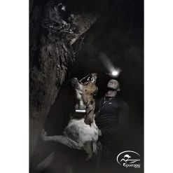 SportDOG - SD-3225 - HoundHunter 3225 - 2 Miles - Remote Training Collar 9 SportDOG - SD-3225 - HoundHunter 3225 - 2 Miles - Remote Training Collar -PetSafe Store sportdog sd 3225 dog wearing houndhunter remote training collar