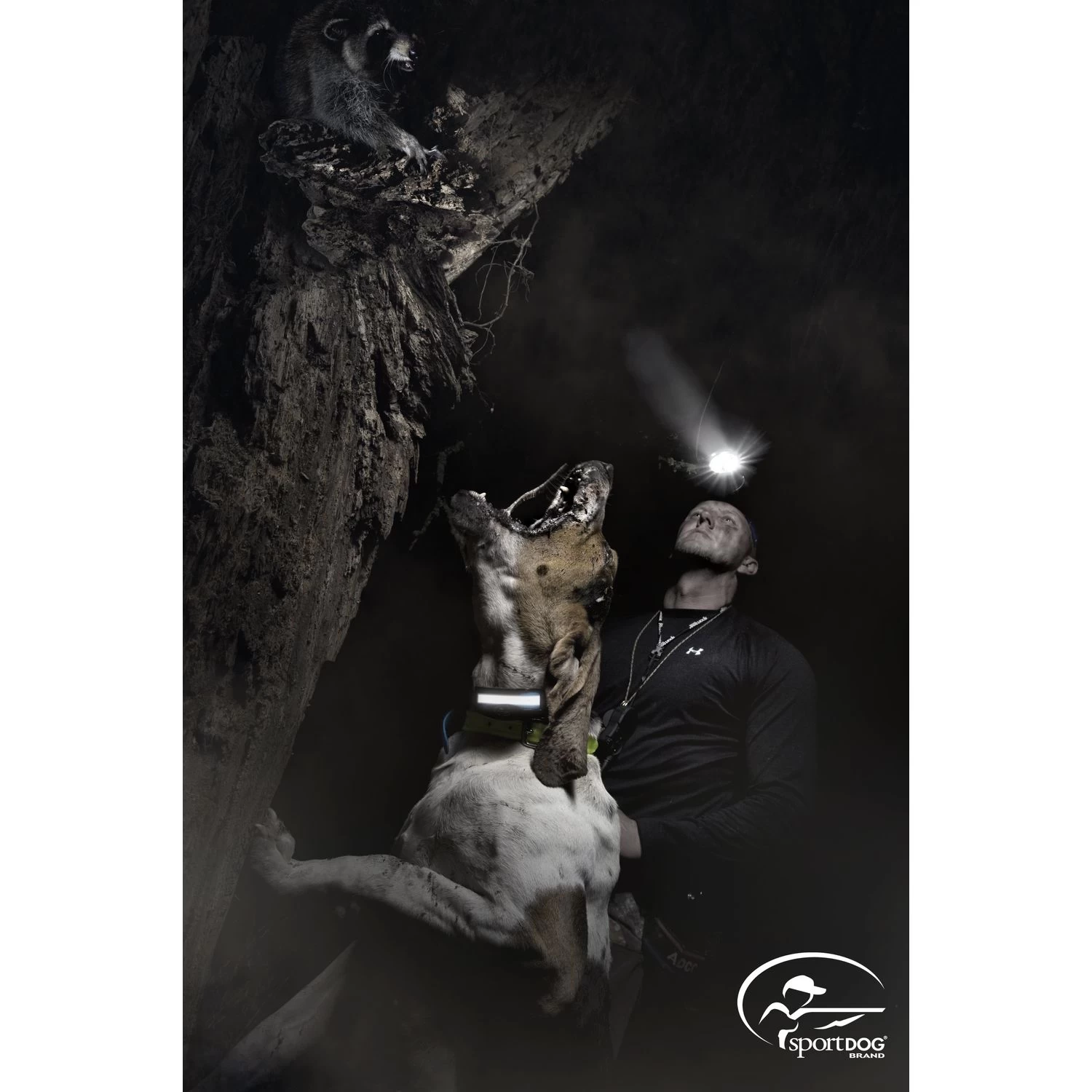 SportDOG - SD-3225 - HoundHunter 3225 - 2 Miles - Remote Training Collar 5 SportDOG - SD-3225 - HoundHunter 3225 - 2 Miles - Remote Training Collar - Image 5