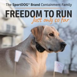 SportDOG - SDF-100C - RECHARGEABLE IN-GROUND FENCE SYSTEM - In-Ground Fence 12 SportDOG - SDF-100C - RECHARGEABLE IN-GROUND FENCE SYSTEM - In-Ground Fence -PetSafe Store sportdog sdf 100c rechargeable in ground fence system