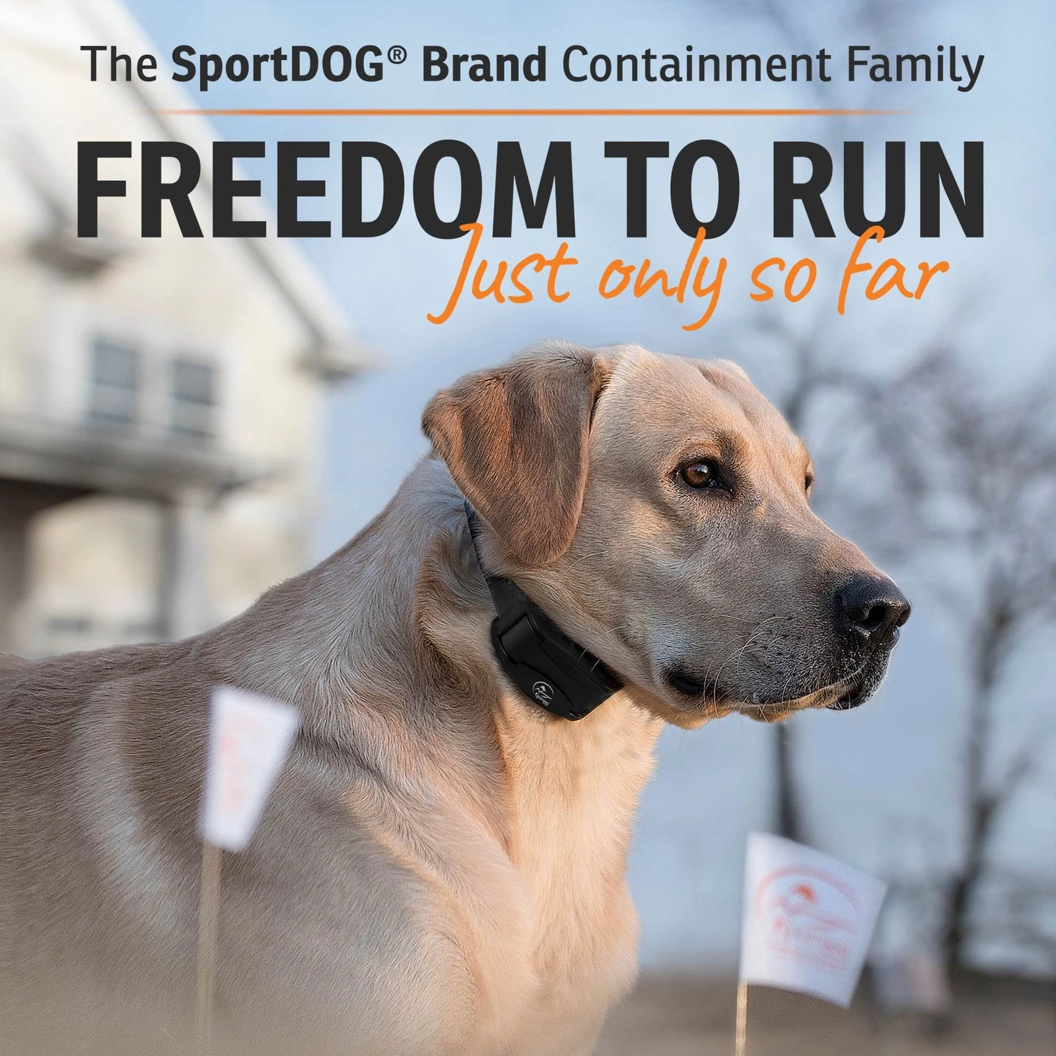 SportDOG - SDF-100C - RECHARGEABLE IN-GROUND FENCE SYSTEM - In-Ground Fence 6 SportDOG - SDF-100C - RECHARGEABLE IN-GROUND FENCE SYSTEM - In-Ground Fence - Image 6